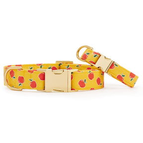 The Foggy Dog - Dog Collar Olipop x TFD Crisp Apple