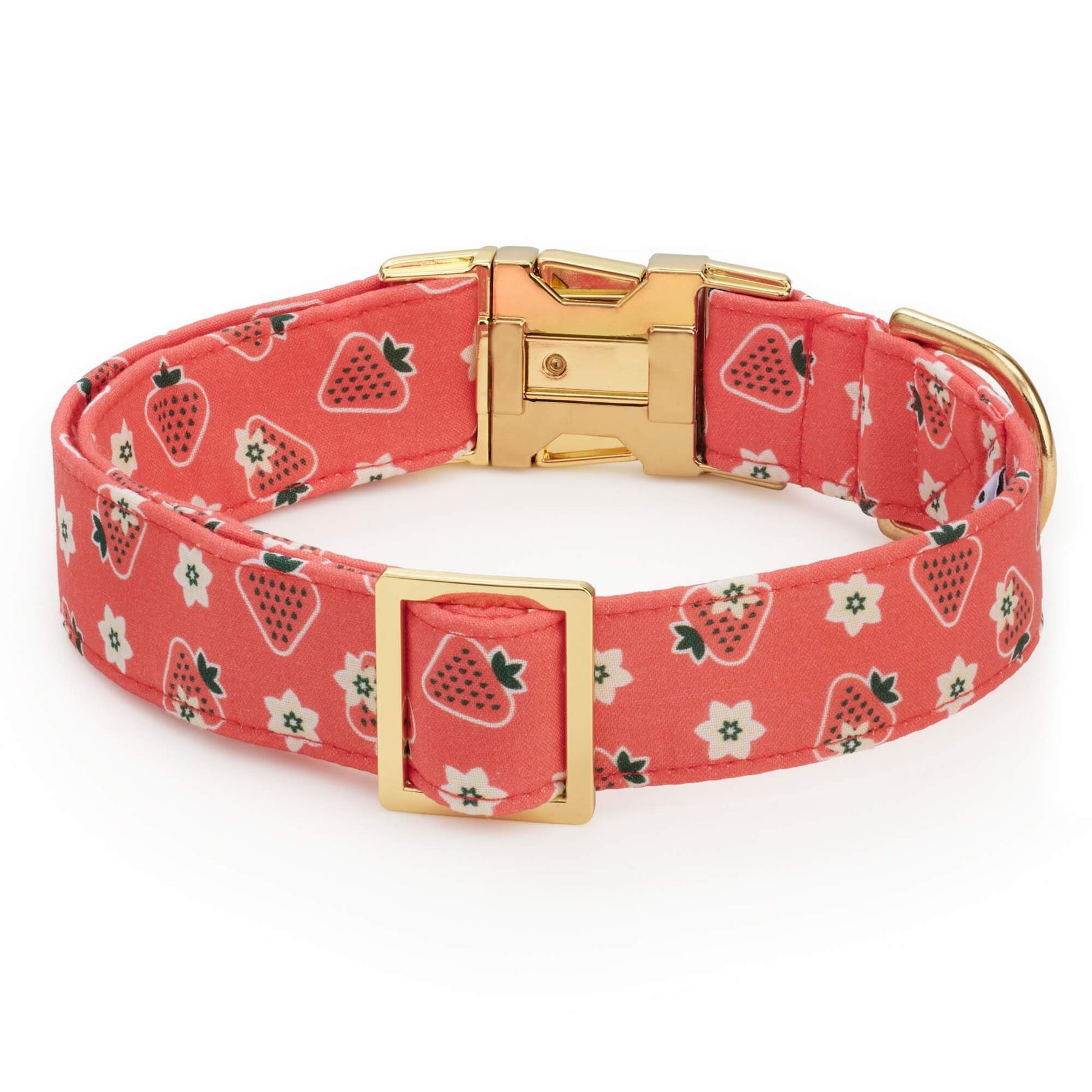 The Foggy Dog - Dog Collar Olipop X TFD Strawberry Vanilla