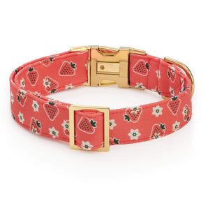 The Foggy Dog - Dog Collar Olipop X TFD Strawberry Vanilla