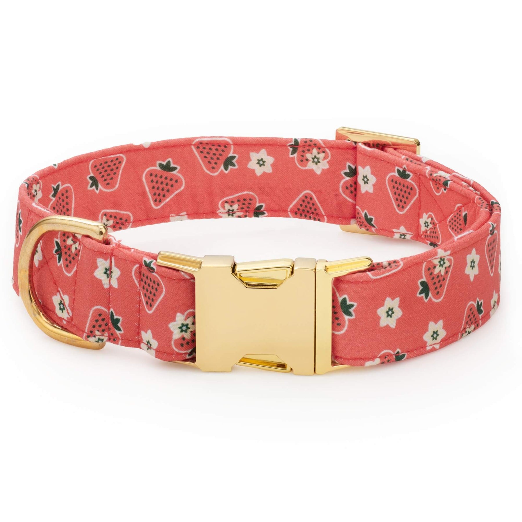 The Foggy Dog - Dog Collar Olipop X TFD Strawberry Vanilla