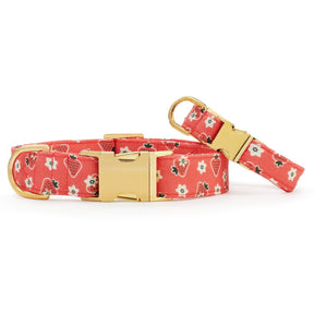 The Foggy Dog - Dog Collar Olipop X TFD Strawberry Vanilla