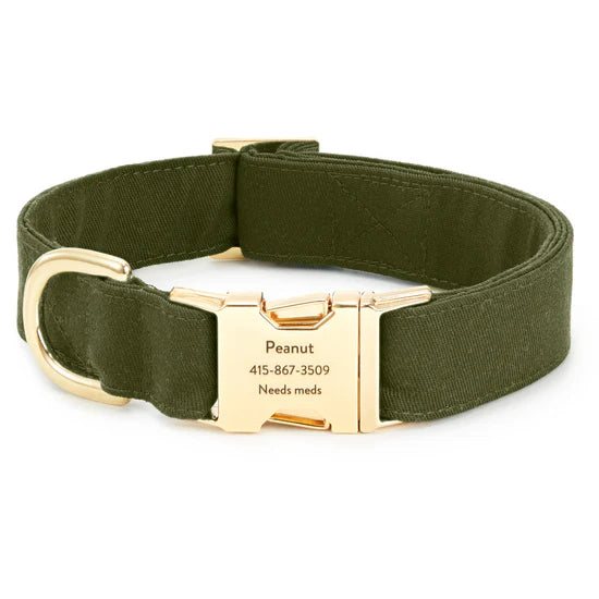 The Foggy Dog - Dog Collar Olive