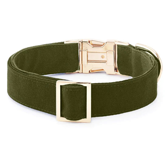 The Foggy Dog - Dog Collar Olive