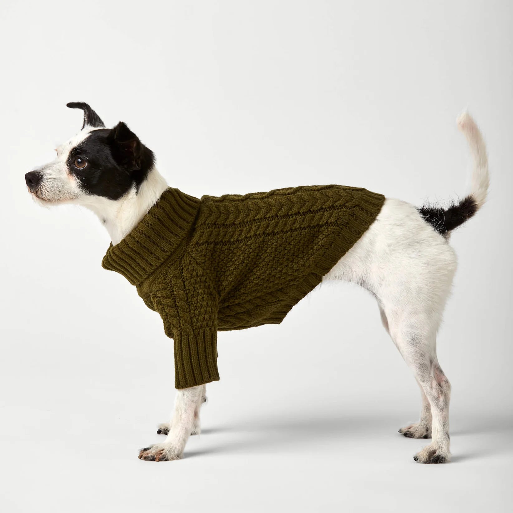 The Foggy Dog - Dog Sweater Cable Knit Olive
