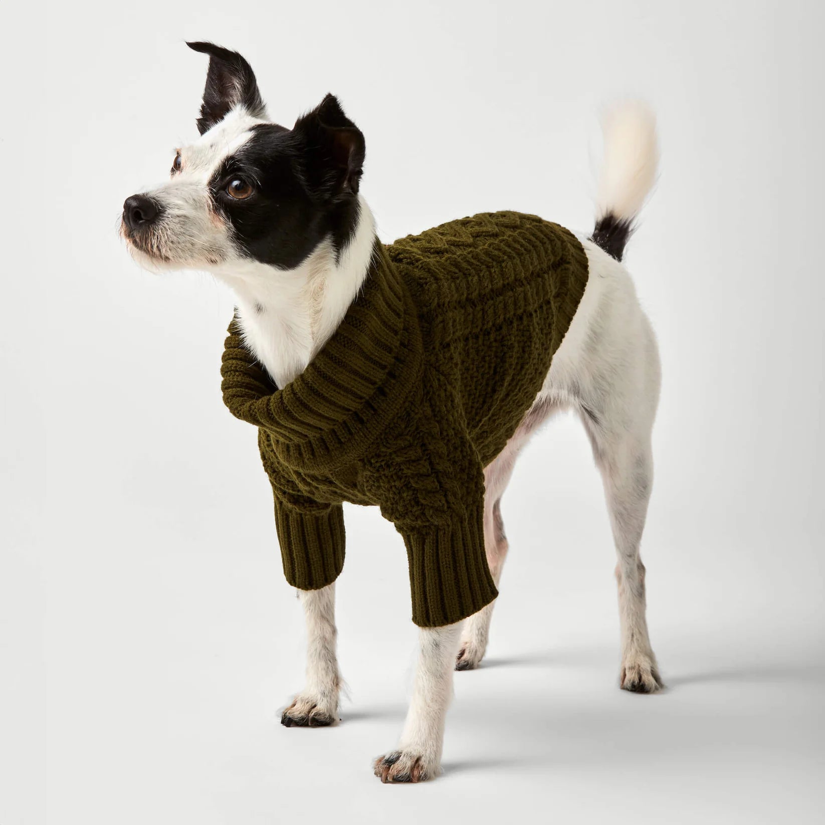 The Foggy Dog - Dog Sweater Cable Knit Olive