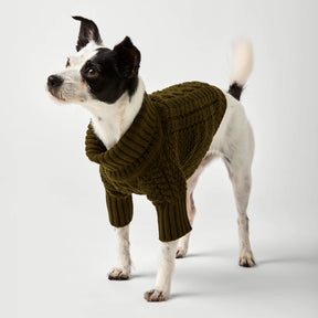 The Foggy Dog - Dog Sweater Cable Knit Olive
