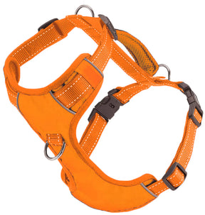Baydog - Chesapeake Harness Blaze Orange