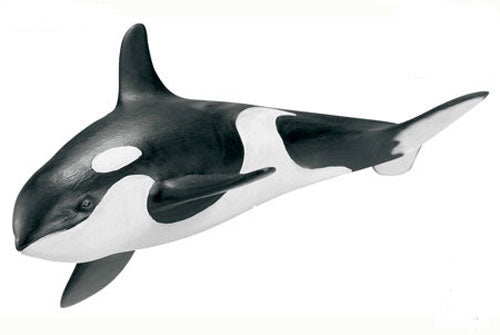 Schleich - Killer Whale Calf - Southern Agriculture 