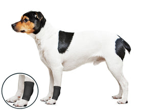 ZenPet OrthoWrap Elbow Protector
