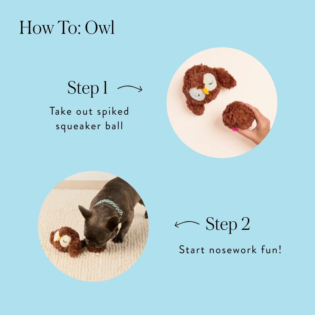 The Foggy Dog - Dog Toy Owl 2-In-1 Bounce