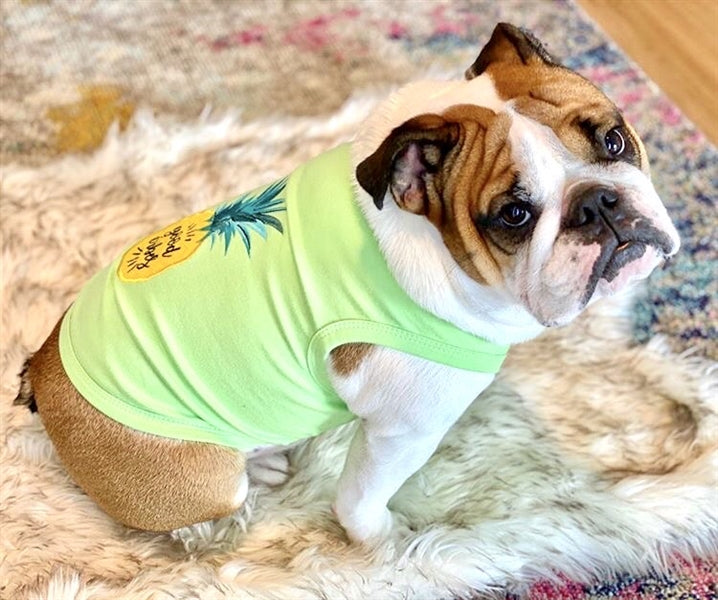 Parisian Pet - Pineapple Dog T-Shirt