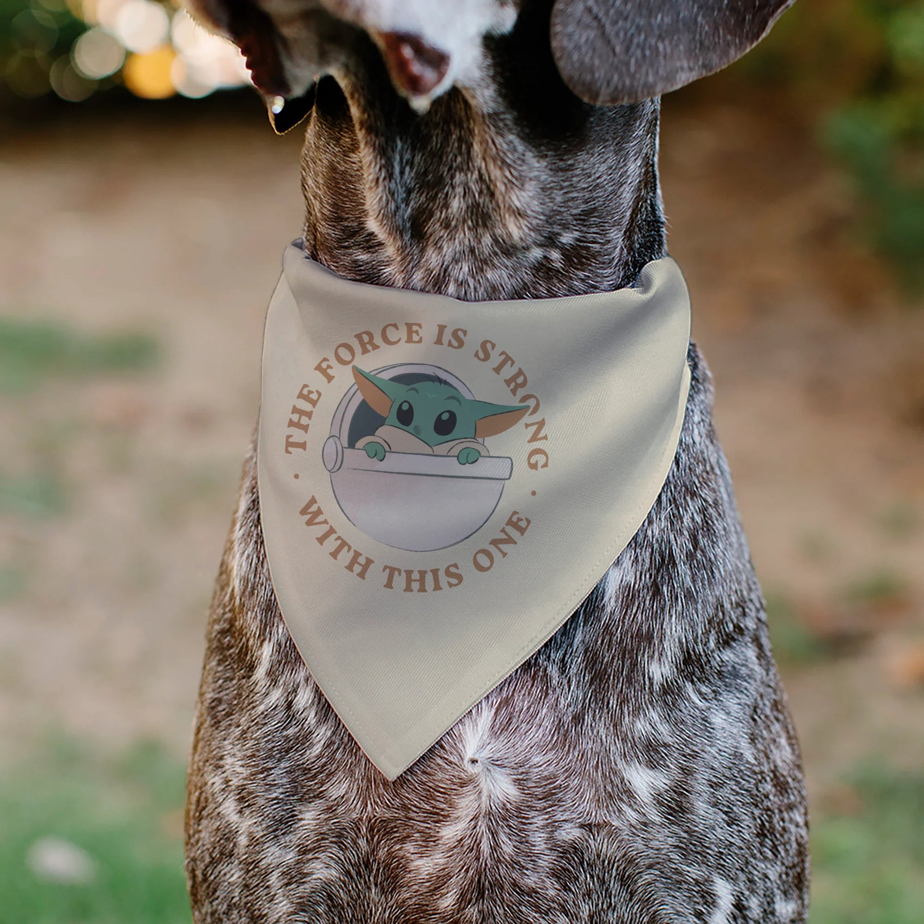 Buckle Down - Pet Bandana Star Wars The Mandalorian