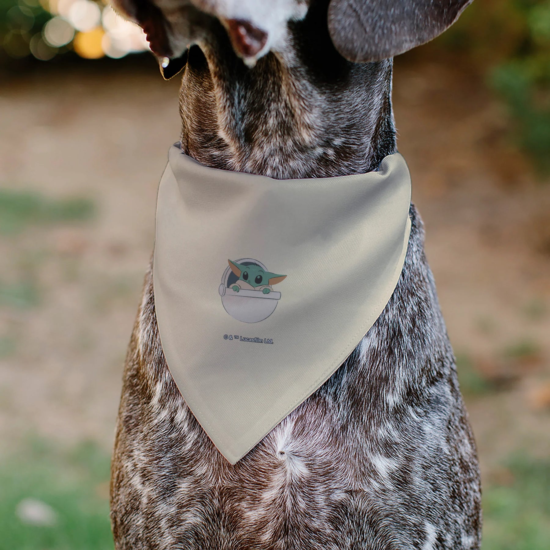 Buckle Down - Pet Bandana Star Wars The Mandalorian