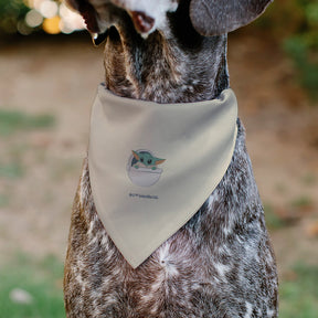 Buckle Down - Pet Bandana Star Wars The Mandalorian