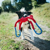 ZippyPaws - Monkey Rope Tugz Red