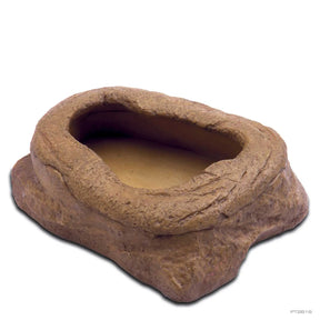 Meal Worm Dish