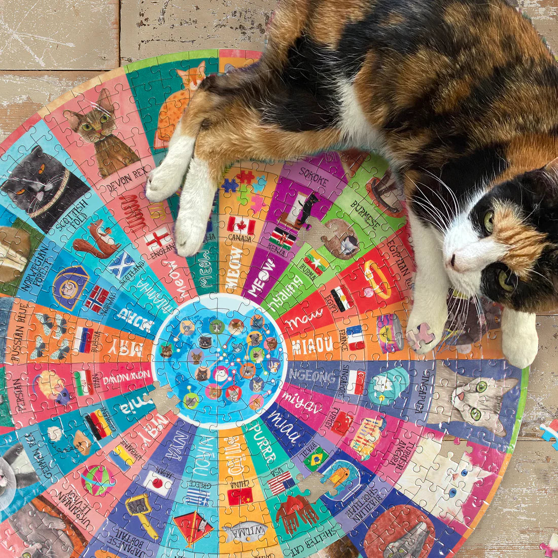 eeBoo - Cats of the World 500 Piece Puzzle