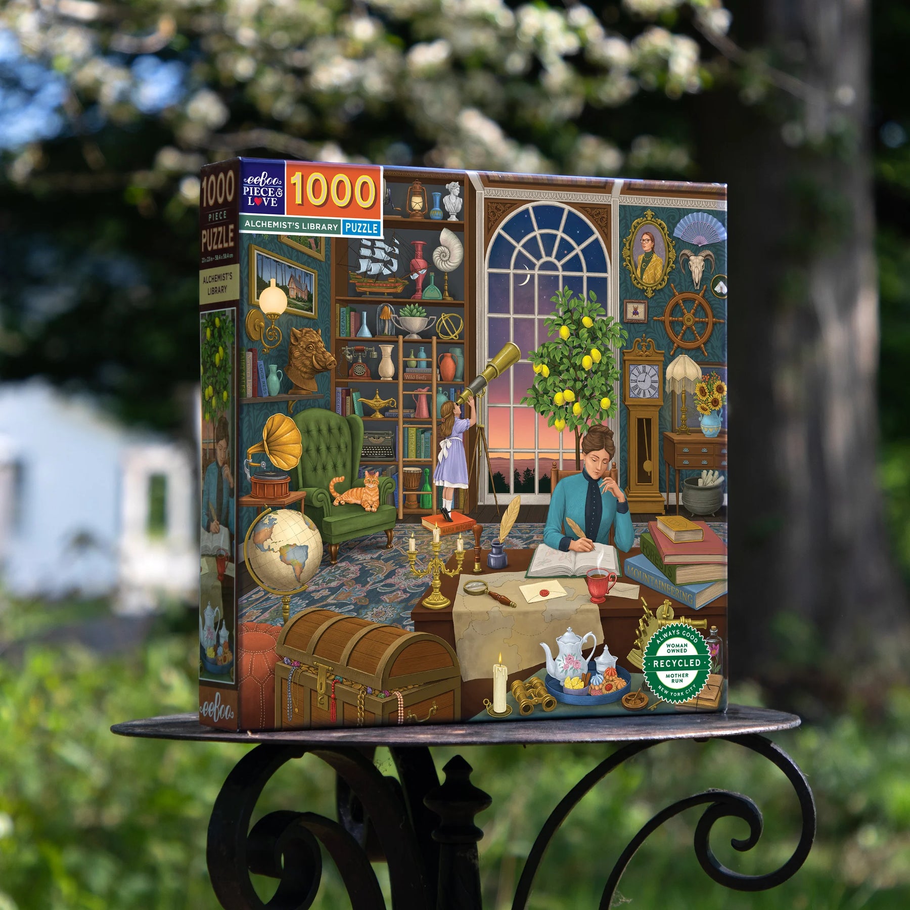 eeBoo - Alchemist's Library 1000 Piece Puzzle