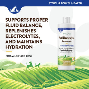 NaturVet - Pet Electrolyte Concentrate