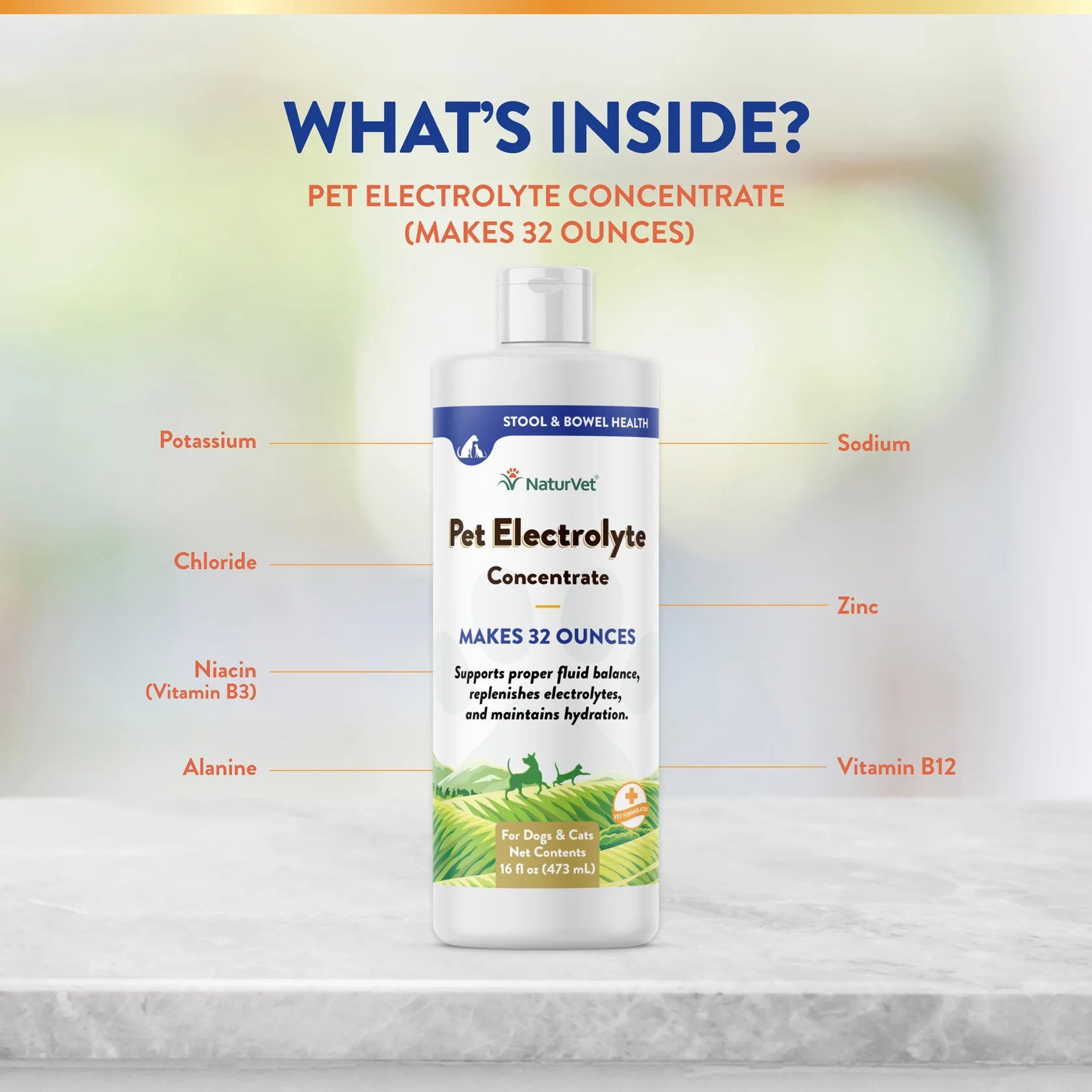 NaturVet - Pet Electrolyte Concentrate