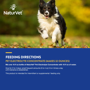 NaturVet - Pet Electrolyte Concentrate