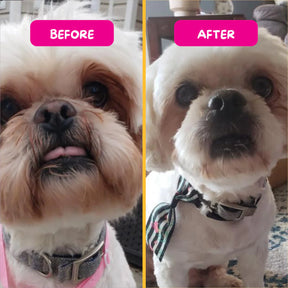 PetEyez - Vitamin Treats Lamb For Dogs - Eliminate Tear Stains