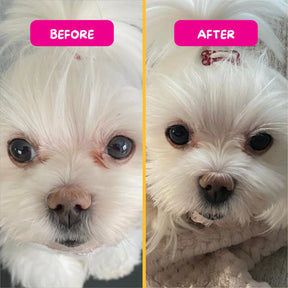 PetEyez - Vitamin Treats Whitefish For Dogs - Eliminate Tear Stains