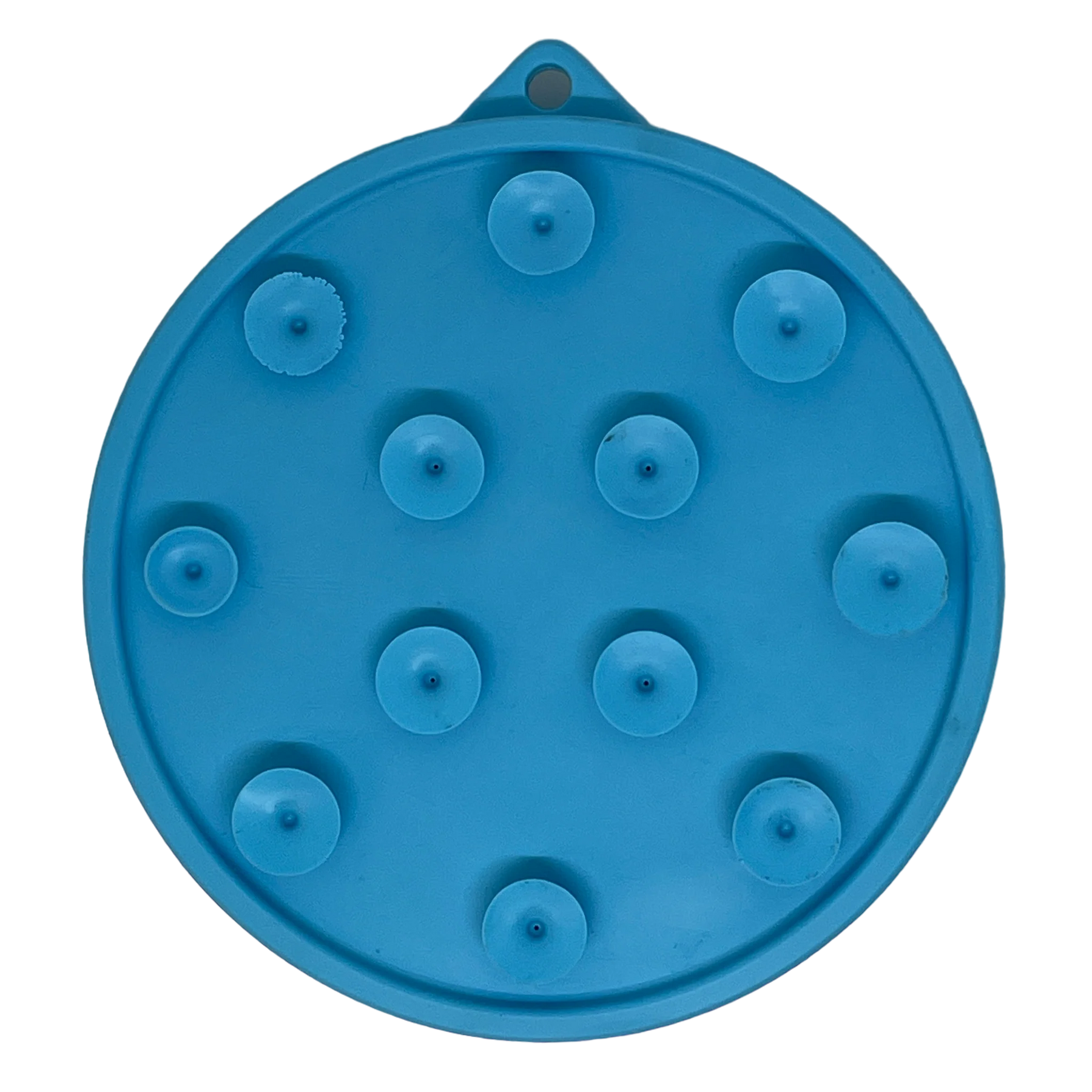 Enrichment Lick Mat Turtle Mat w/ Suction Cups