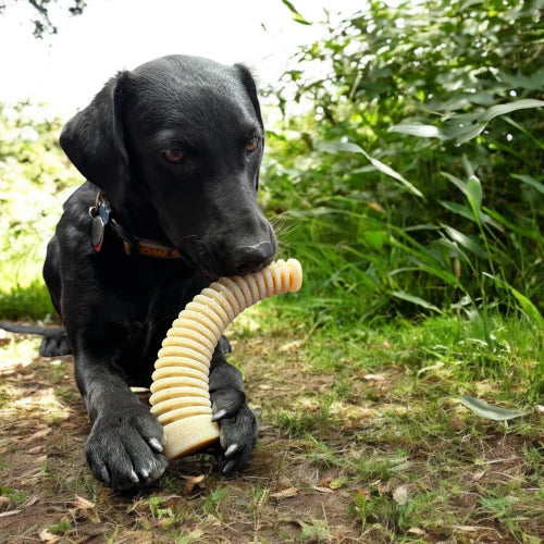 Honey Bone Dental Antler eChew Ultra Nylon Dog Chew Toy