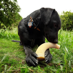 Honey Bone Dental Antler eChew Ultra Nylon Dog Chew Toy