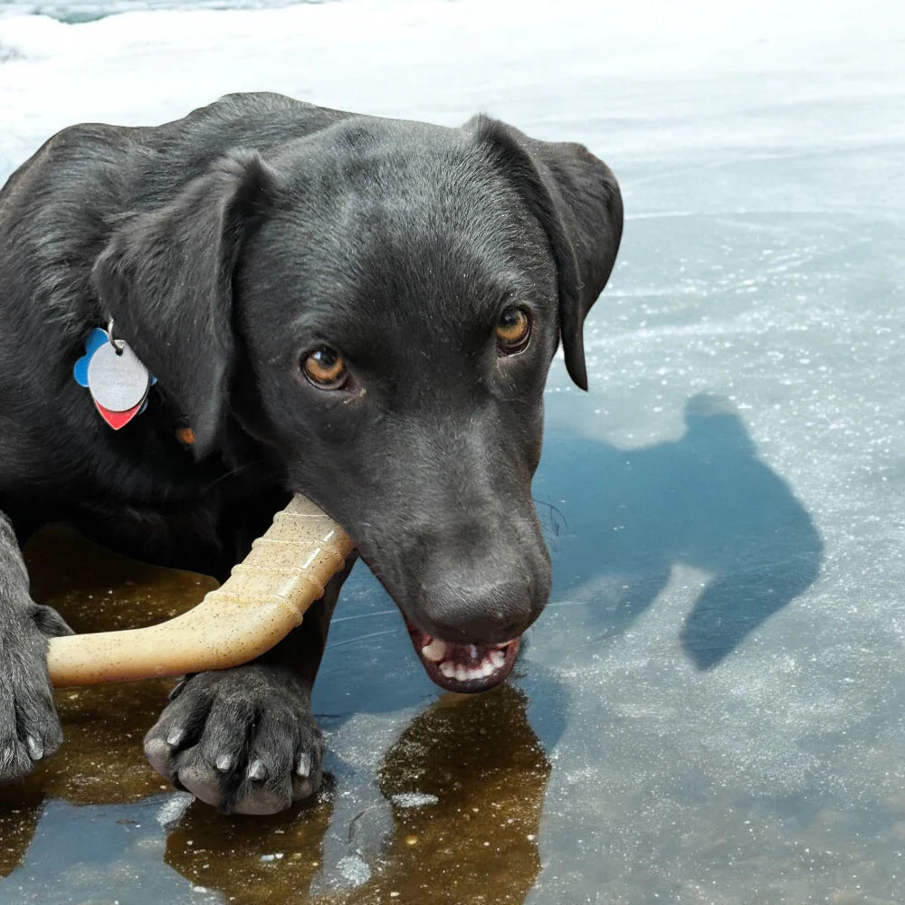Hockey Stick Durable Nylon Dog Chew Toy - Southern Agriculture 