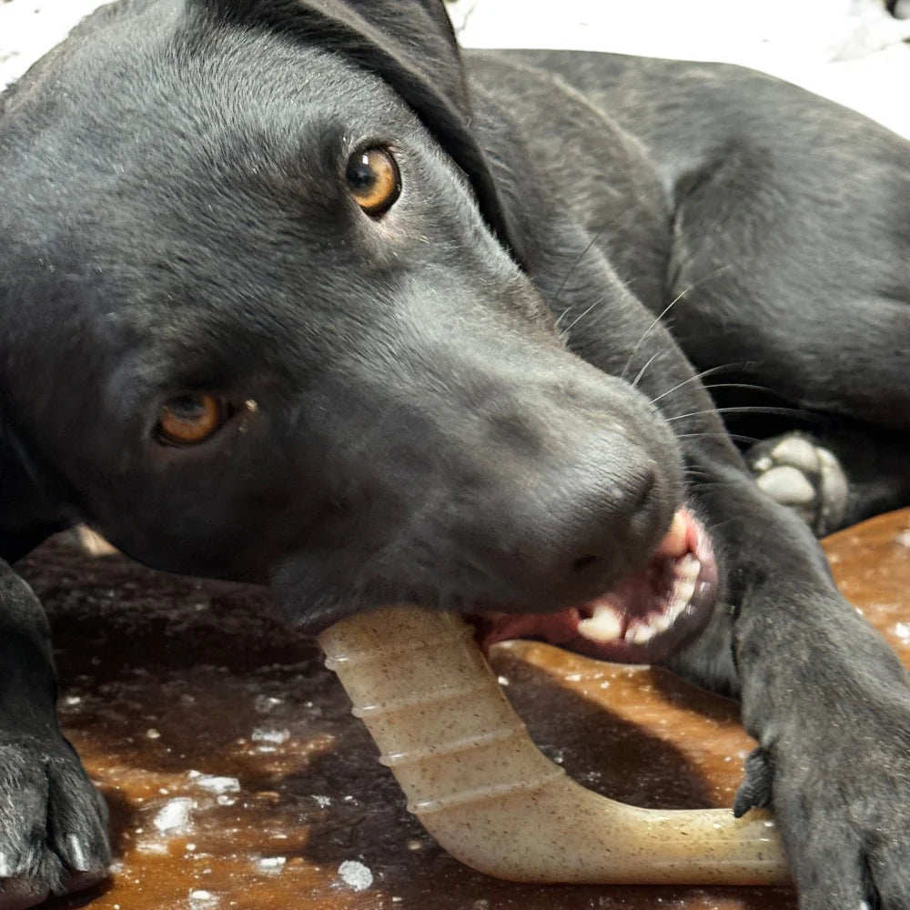 Hockey Stick Durable Nylon Dog Chew Toy - Southern Agriculture 