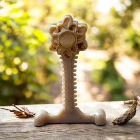 Honey Bone Dental Flower Tower eChew