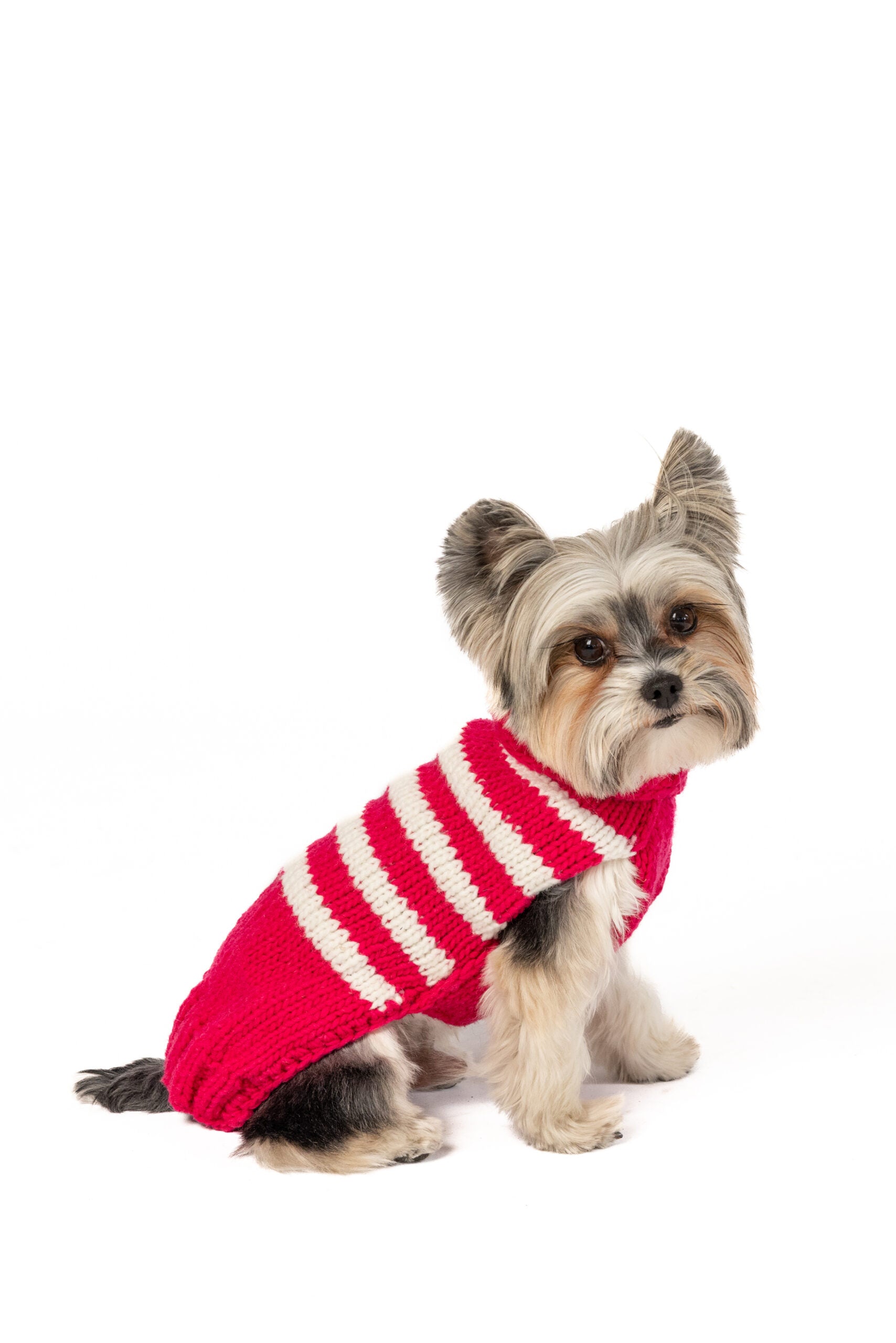 Chilly Dog - Dog Sweater Alpaca Katie Stripe