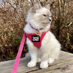 Travel Cat - Harness & Leash Set - "The Purrfectly Pink"