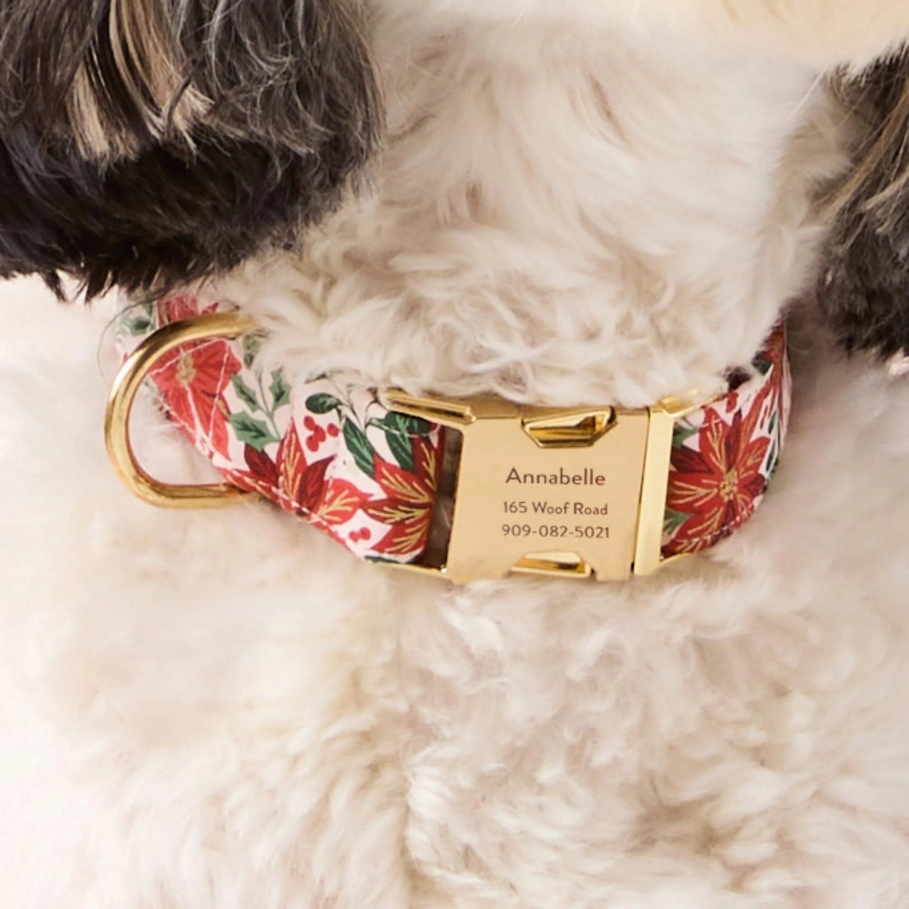The Foggy Dog - Dog Collar Poinsettia