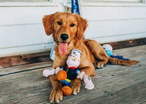 Multipet - Popeye with Rope Muscles Dog Toy