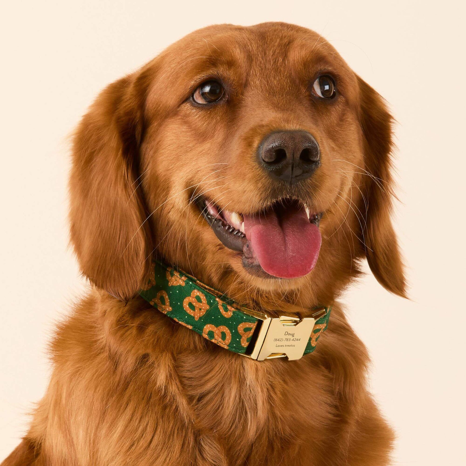 The Foggy Dog - Dog Collar Pretzel Party