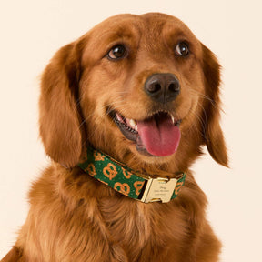 The Foggy Dog - Dog Collar Pretzel Party