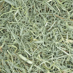 Oxbow - Prime Cut Soft & Lush Timothy Hay Small Animal Treat by Oxbow
