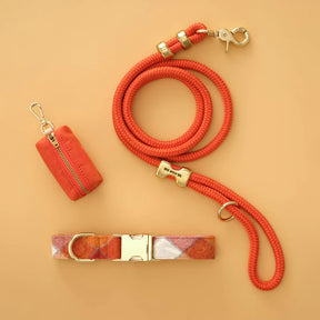 The Foggy Dog - Dog Collar Pumpkin Spice Flannel Fall