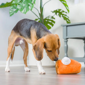 Huxley & Kent - Pumpkin Pie Dog Toy - Southern Agriculture 