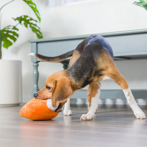 Huxley & Kent - Pumpkin Pie Dog Toy - Southern Agriculture 