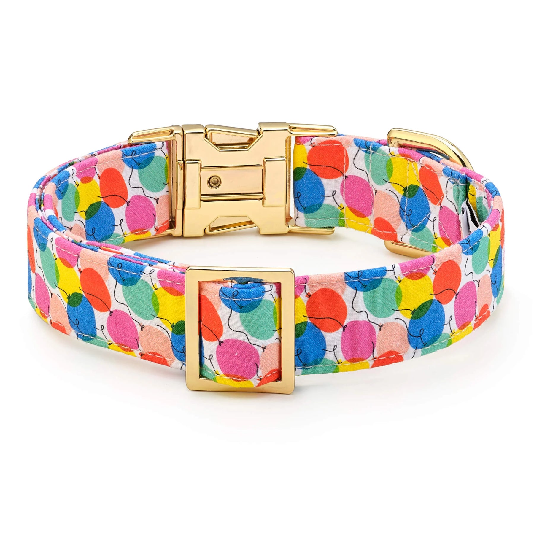 The Foggy Dog - Dog Collar Pup, Pup And Away