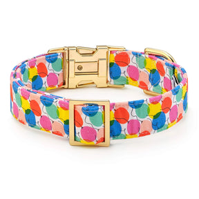 The Foggy Dog - Dog Collar Pup, Pup And Away