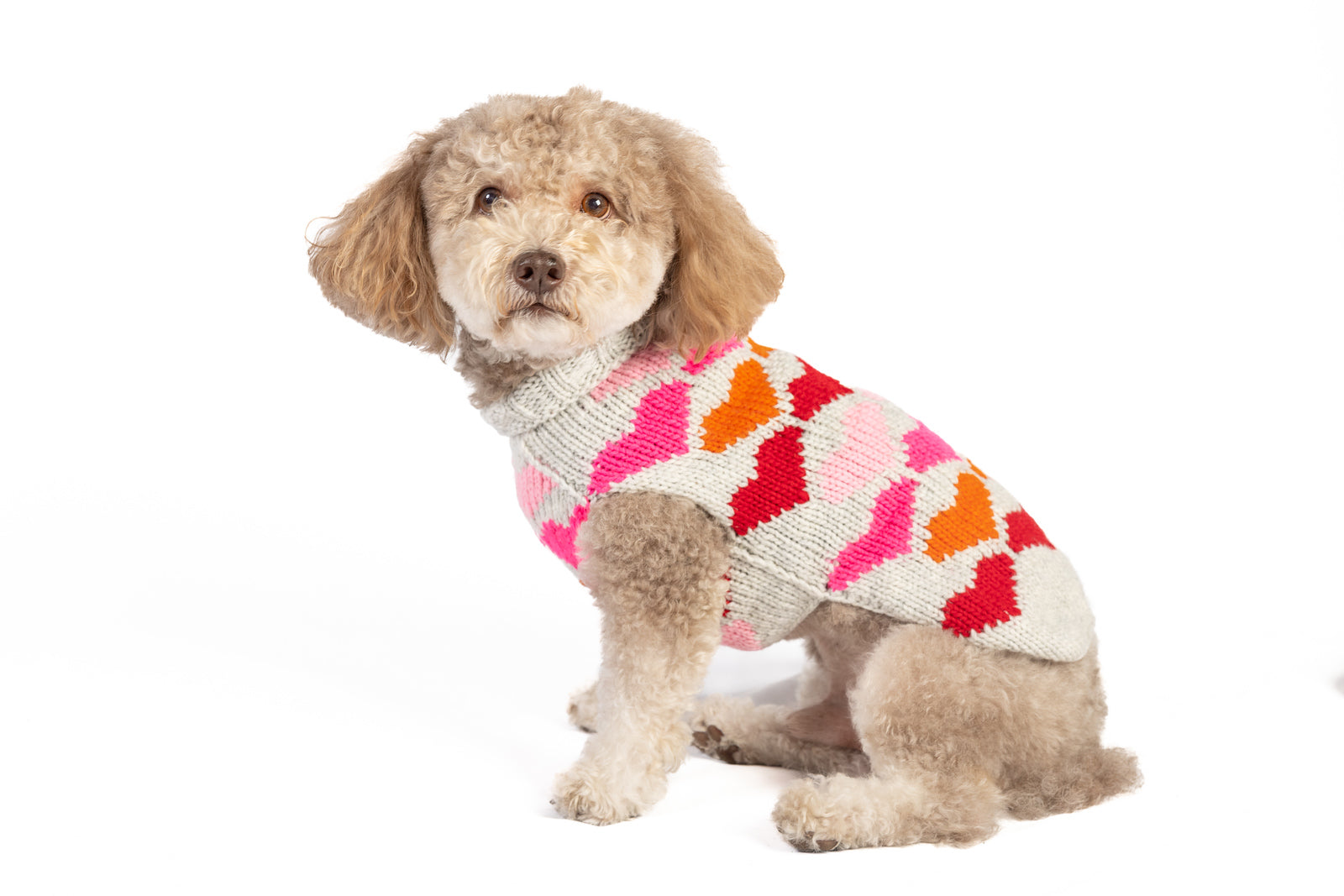 Chilly Dog - Dog Sweater Puppy Love Knit - Southern Agriculture 