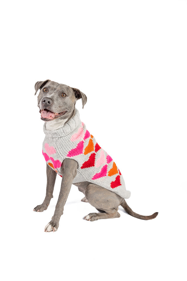 Chilly Dog - Dog Sweater Puppy Love Knit - Southern Agriculture 