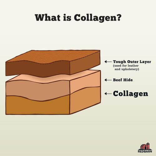 Redbarn - Bully Wrapped Collagen Stick
