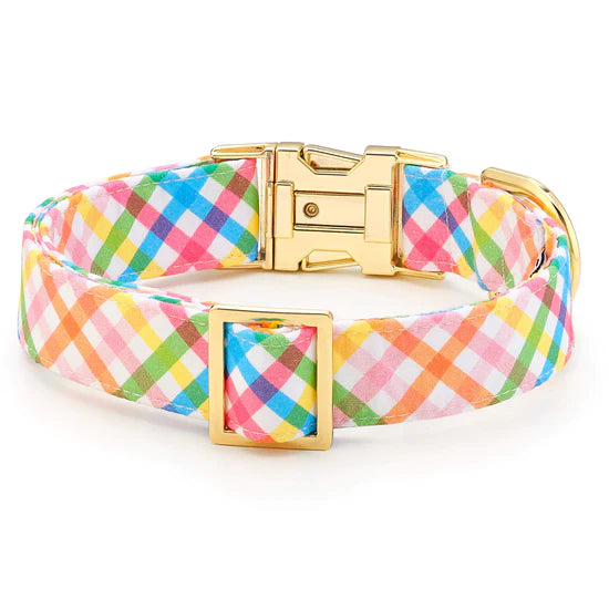 The Foggy Dog - Dog Collar Rainbow Gingham