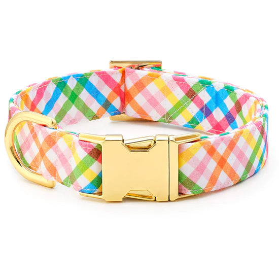 The Foggy Dog - Dog Collar Rainbow Gingham